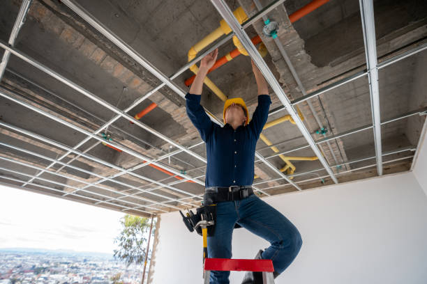 Best Same-Day Plumbing Service  in Caseyvle, IL