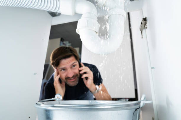 Best Local Plumber Services  in Caseyvle, IL