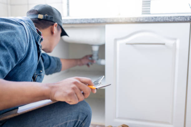 Best Plumbing Inspection Services  in Caseyvle, IL
