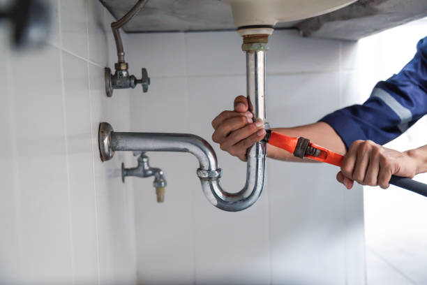 Best Residential Plumbing Services  in Caseyvle, IL